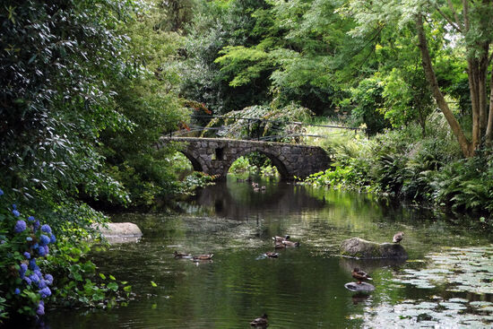 River Slaney upstream from Bunclody at Altamont (photo © Colin Park licensed under CC BY-SA 2.0)