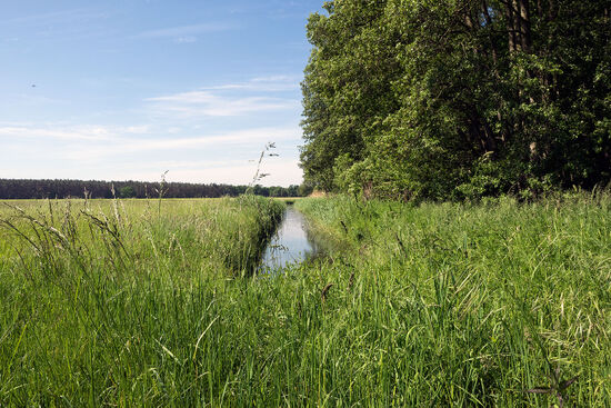 Delicate beauty of the landscape at Scharfenbrück,an area in eastern Germany where the lie of the land was shaped by events at the very end of the last Ice Age (photo © hidden europe).